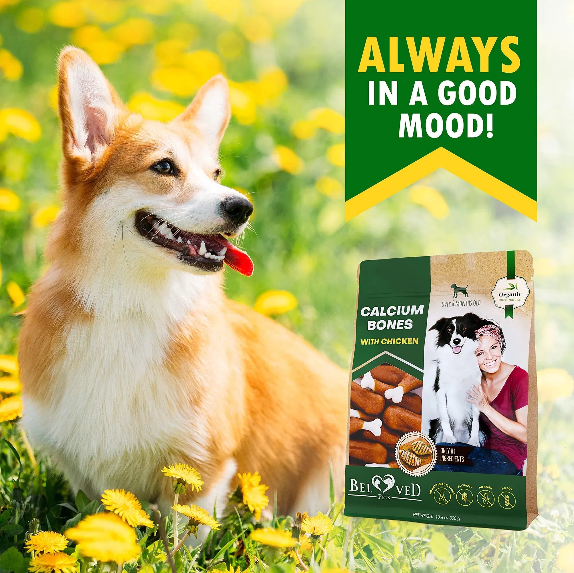 Dog Calcium Bones – Chicken Wrapped Rawhide-Free Chews + Grain-Free Healthy Treats for Small & Large Dogs