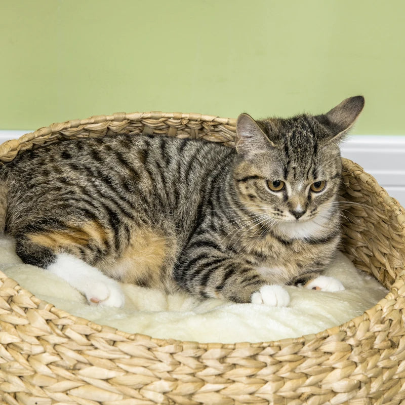 Elevated Cat Bed with Sisal Scratching Post – Modern Cat Tree with Cute Basket Design for Indoor Kitties