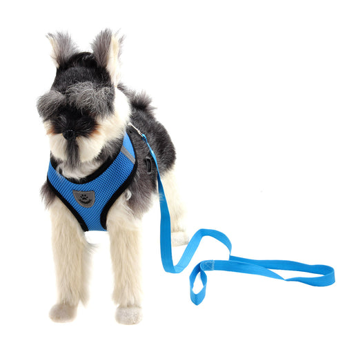 Fashionable Multi-color Dog Harness – Adjustable Soft Vest
