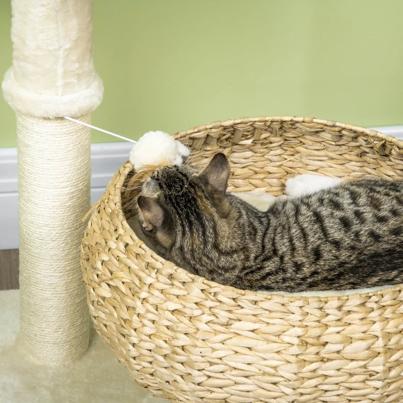 Elevated Cat Bed with Sisal Scratching Post – Modern Cat Tree with Cute Basket Design for Indoor Kitties