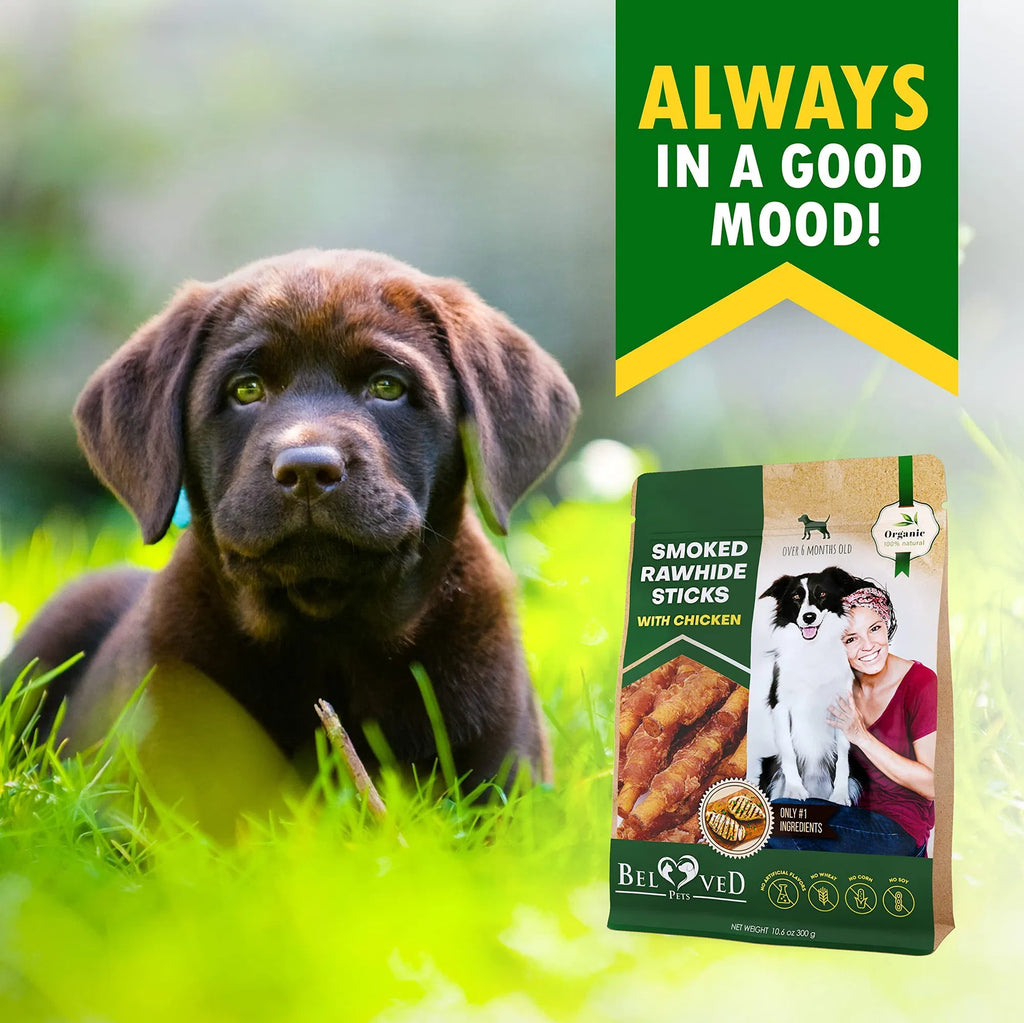 Premium Grain-Free Dental Chews for Dogs of All Ages