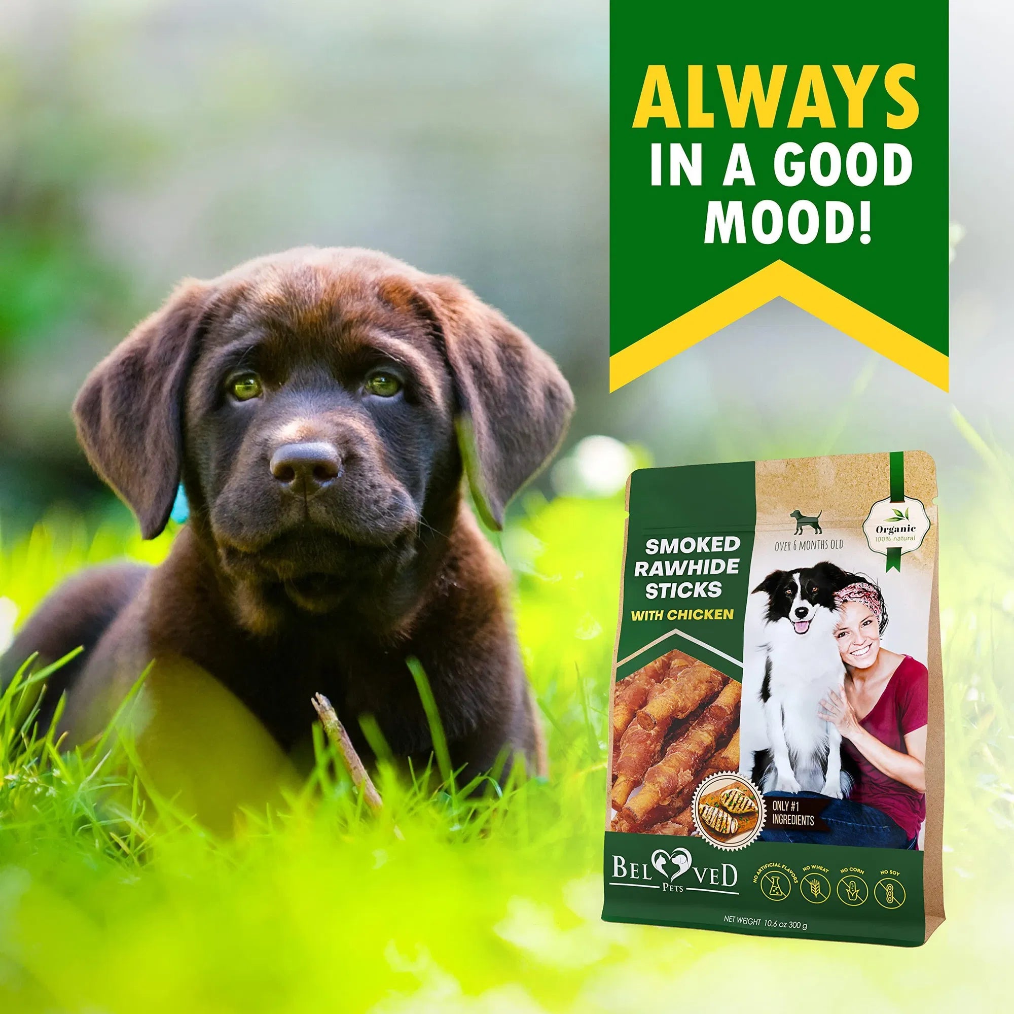 Premium Grain-Free Dental Chews for Dogs of All Ages